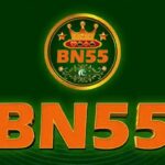 BN55